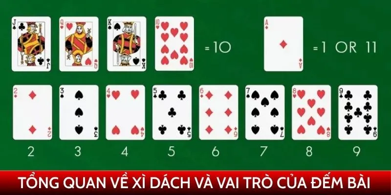 Tổng quan về xì dách và vai trò của đếm bài